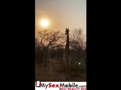 MILF Marina Beaulieu gets fucked before dinner - MySexMobile