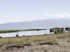 Strand, Samling, Blotting, Nudist, Utendørs, Pissing, Synsvinkel, Offentlig