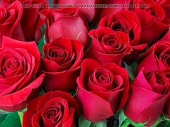 Analny, Z odbytu do ust, Sypialnia, Zdrada, Indyjski, Dojrzałe, Mamuśka, Mama