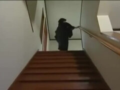 Leie, Asiatisch, Tussi, Japanische massage