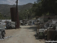 Kont, Grote kont, Grote mammen, Hardcore, Moeder die ik wil neuken, Buiten, Kut duiken, Tieten likken