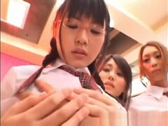 Ázijskej, Mačiatko, Veľké kozy, Japonské, Teenka