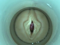 Amador amadora, Pauzão, Gay bicha veado, Hardcore, Brinquedos