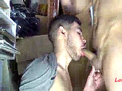 Anaal, Pijpbeurt, Homo, Openbaar, Rijden