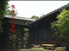 Azijci, Fetiš, Japonka, Lezbijke, Zrela