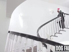 Stor stjärt, Stora tuttar, Avsugning, Långt ner i halsen, Snopp, Doggystyle, Mellanrasig