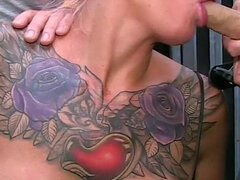 Amatööri, Isot tissit, Suihinotto, Brittiläinen, Vanhempi, Äiti jota haluaisin panna, Tissit, Vaimo