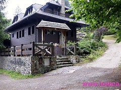 Kuusysi, Hd, Lesbo, Luonnolliset tissit, Orgasmi, Pillu, Romanialainen, Teini