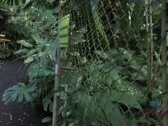 Любители, Пляж, Пальцем, Ласковые ручки, Поцелуи, Мастурбация, На природе, От первого лица