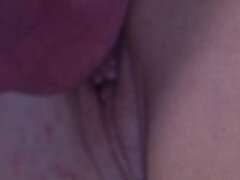 Amatéři, V zákulisí, Velký zadek, Velké kozy, Kuřba, Německé, Milf žcbp, Jezdectví