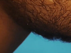 Pariskunta, Karvainen, Kotitekoinen, Intialainen