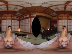 Rumpa, Galen, Japansk, Pov, Fitta, Tuttar