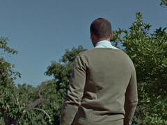 Brandi Love  James Deen - Ciris